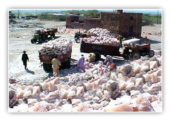 Salt being transported to factory