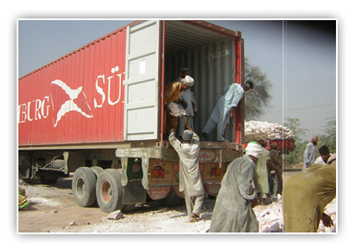 Quality grading and sorting floor