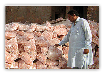 Export packaging and shrink-wrap